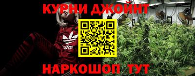 спайс Малгобек
