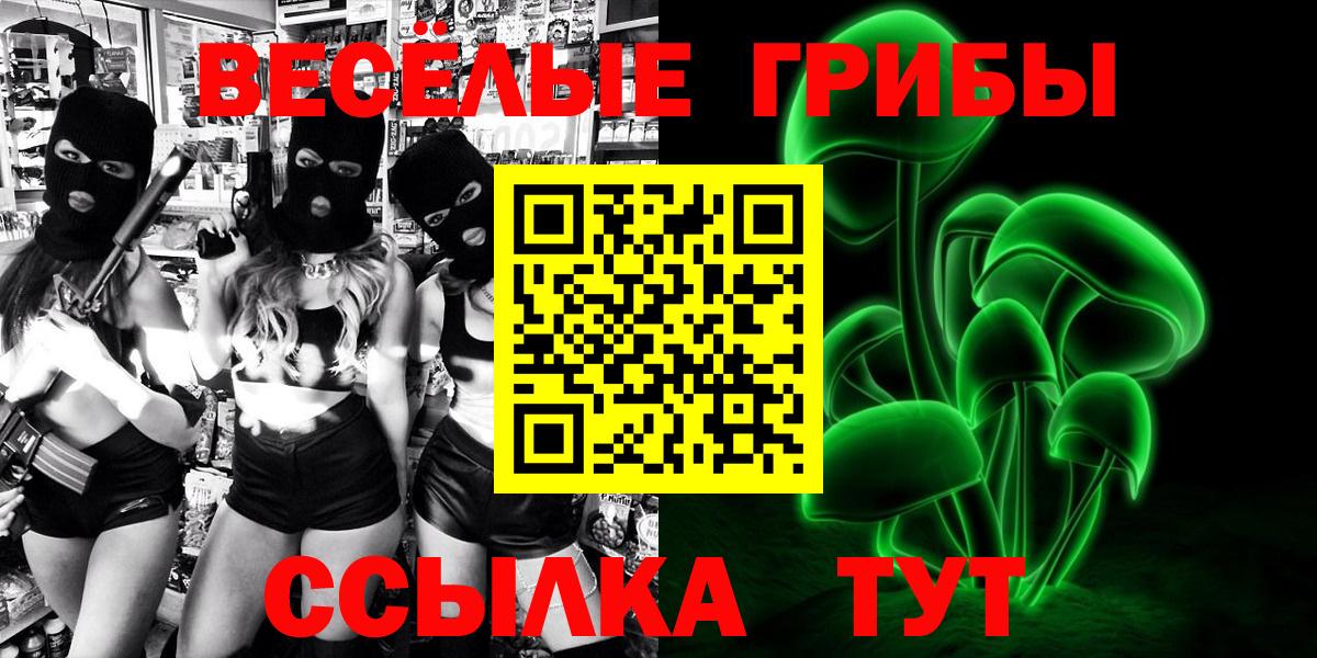 Шадринск  Псилоцибиновые грибы Cubensis  Вход с VPN 