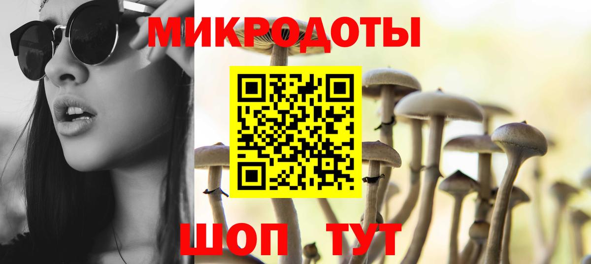 Псилоцибиновые грибы Cubensis Шадринск