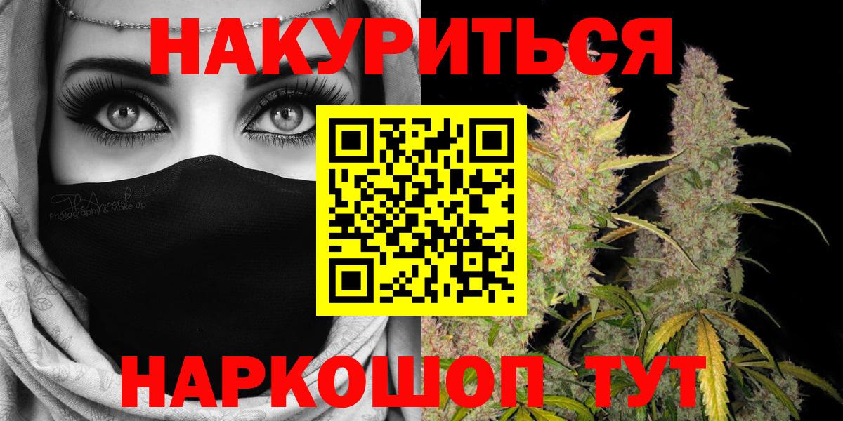 Бошки марихуана конопля Шадринск